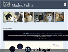 Tablet Screenshot of madridfelina.com